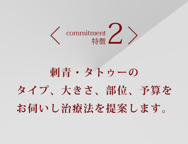 特徴2刺青・タトゥーのタイプ、大きさ、部位、予算をお伺いし治療法を提案します。